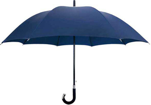 Allen Edmonds Elite Cane Umbrella by Davek: US$149.