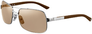 Santos de Cartier rimmed sunglasses: US$910.