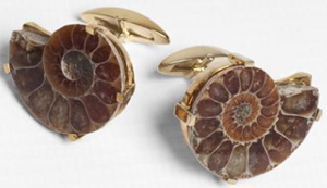 Hilditch & Key Cufflinks. Gold Plated Fossil Cufflinks: £50.