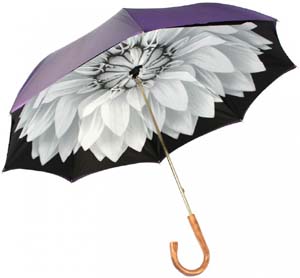 Illesteva Women's Umbrella 4: US$250.