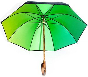 Richard James Green and Yellow Face Umbrella: £185.