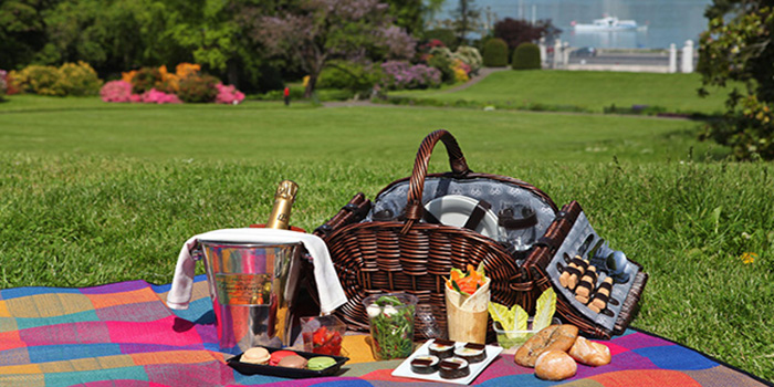 Picnic gourmet hamper packed with the very best foods and champagne at Lac Leman, Geneva, Switzerland.