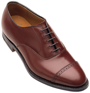 Alden New England Straight Tip Bal Oxford men's shoe.