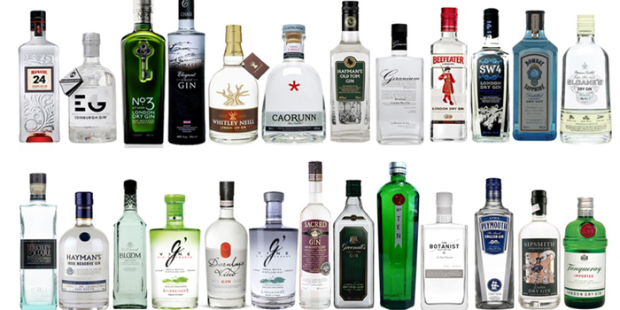 A selection of 25 leading gin brands.