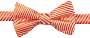 Countess Mara Solid Stripe Pre-Tied Bow Tie: US$22.50.