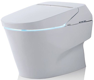 Neorest 750H Dual Flush Toilet: US$10,200.