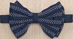Jupe by Jackie Farragut Horizontal 100% silk bow tie: €130.