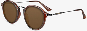 D.Franklin Roller TR90 Trans / Brown men's sunglasses: 34.99.
