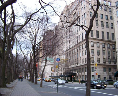 960 Fifth Avenue, New York City, NY 10075, U.S.A.