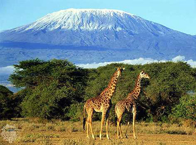 Kilimanjaro National Park.