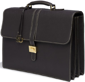 Loro Piana My Business Bag.