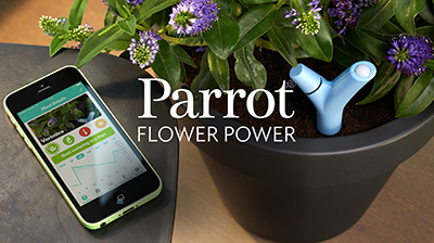 Parrot Flower Power.