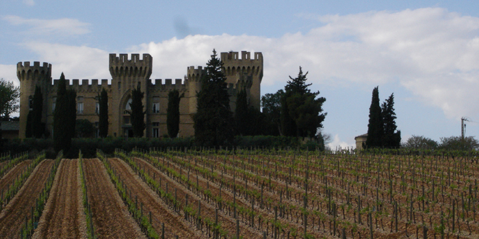 Châteauneuf-du-Pape vineyard & castle, southern Rhône region, France.