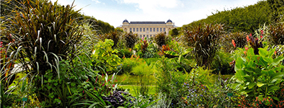 Jardin des Plantes, 57 Rue Cuvier, 75005 Paris, France.