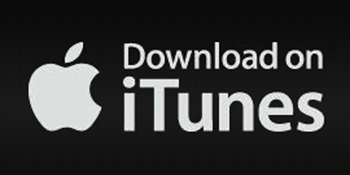 Download music on Itunes.