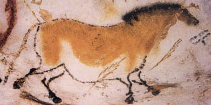 Cave painting of a dun horse (equine) at Lascaux.