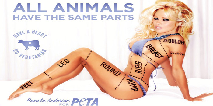 PeTA | People for the Ethical Treatment of Animals - American animal rights organization. Slogan is 'animals are not ours to eat, wear, experiment on, use for entertainment or abuse in any way.'