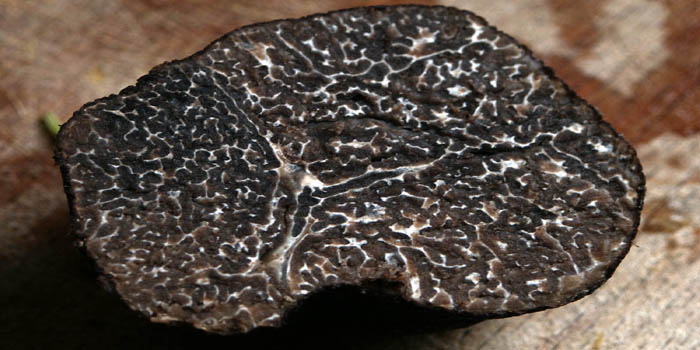 Black Périgord truffle (tuber brumale), cut.