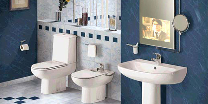 Bathroom vanity mirror television.