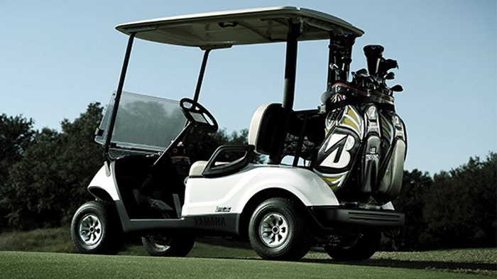 bradshaw golf buggy