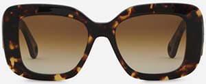Lanvin Women's Mother & Child Sunglasses: £200.
