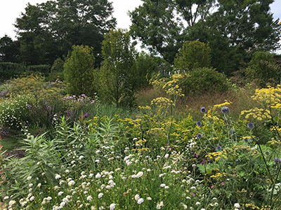 Miranda Brooks Landscape Design garden.