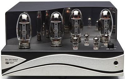 Zesto Bia 200 Select power amplifier.