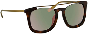 Kris van Assche D-Frame Sunglasses in Classic Tortoiseshell men's sunglasses: US$440.