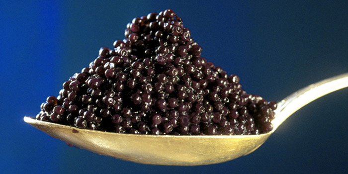 Sturgeon caviar.