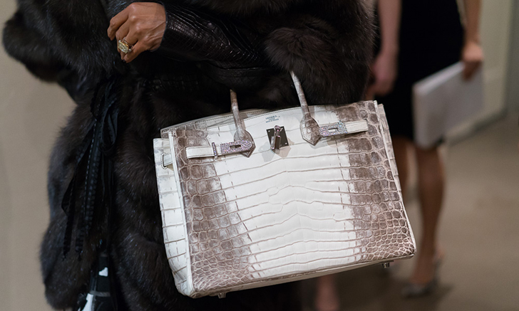 The Anatomy of a $432,000 Handbag.