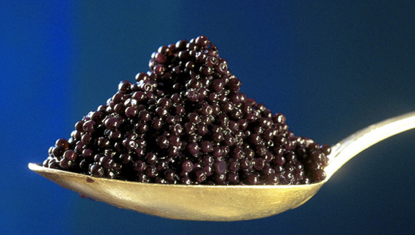 Click on the photo to check out the world's TOP 50 best high-end CAVIAR online stores & SUPPLIERS.